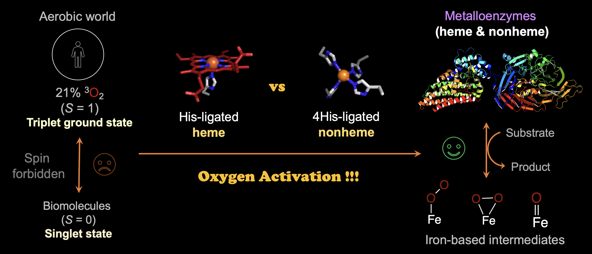 oxygen activation